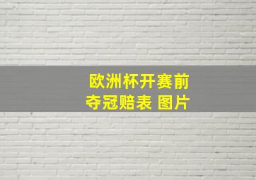 欧洲杯开赛前夺冠赔表 图片